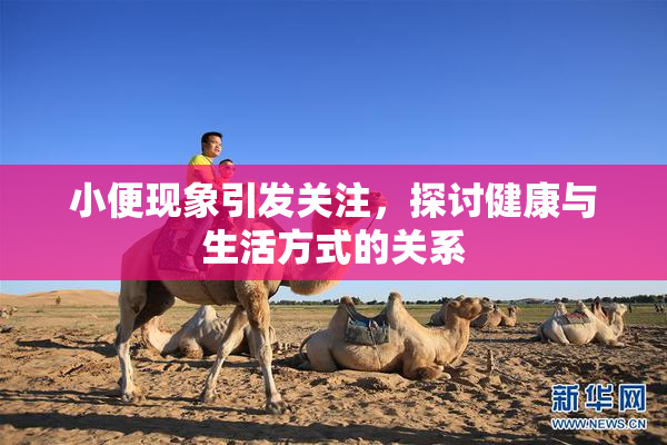小便现象引发关注，探讨健康与生活方式的关系