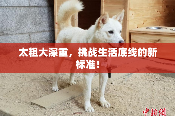 太粗大深重，挑战生活底线的新标准！