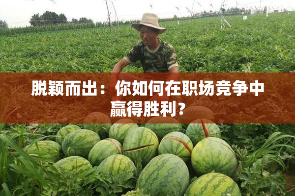 脱颖而出：你如何在职场竞争中赢得胜利？