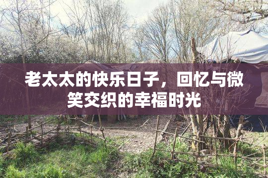 老太太的快乐日子，回忆与微笑交织的幸福时光