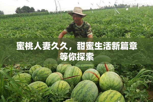 蜜桃人妻久久，甜蜜生活新篇章等你探索