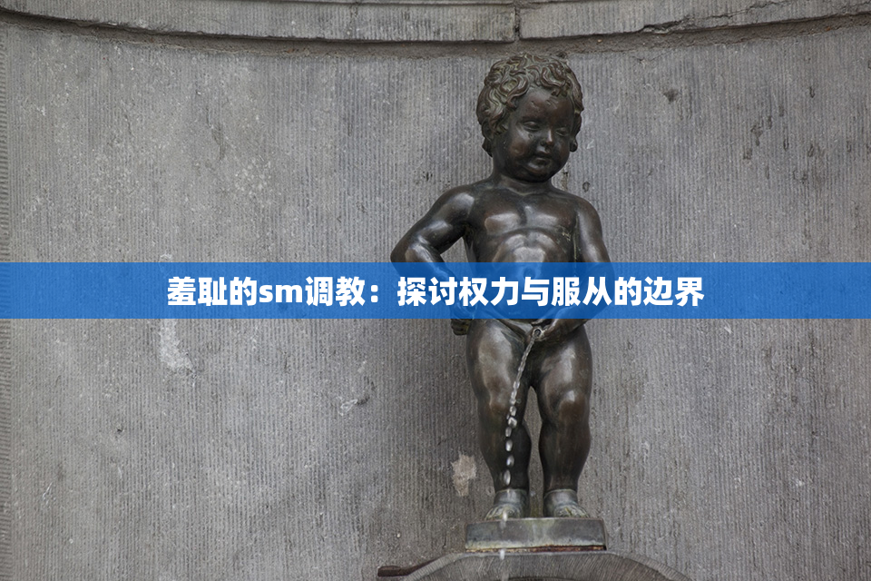 羞耻的sm调教：探讨权力与服从的边界