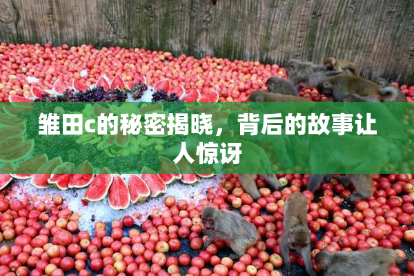 雏田c的秘密揭晓，背后的故事让人惊讶