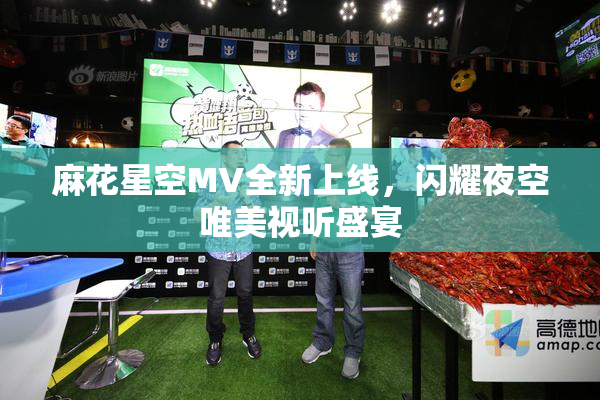 麻花星空MV全新上线，闪耀夜空唯美视听盛宴