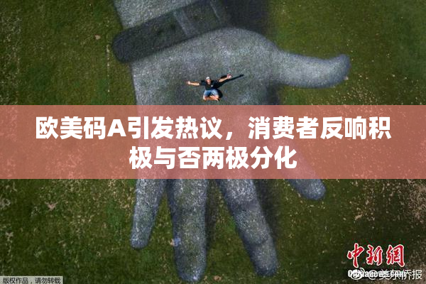 欧美码A引发热议，消费者反响积极与否两极分化