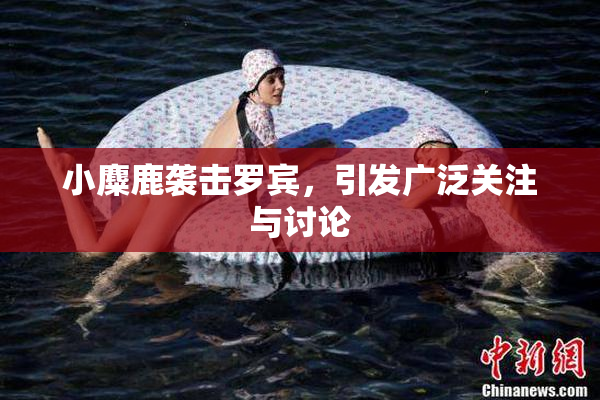 小麋鹿袭击罗宾，引发广泛关注与讨论