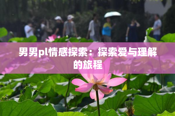 男男pl情感探索：探索爱与理解的旅程