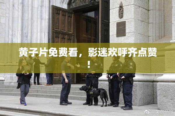 黄子片免费看，影迷欢呼齐点赞！