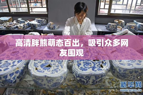 高清胖熊萌态百出，吸引众多网友围观