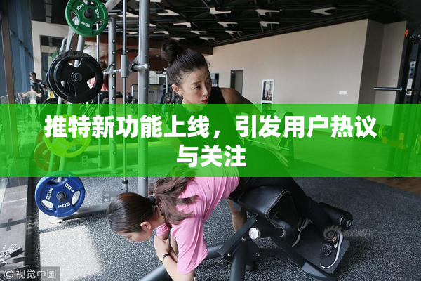 推特新功能上线，引发用户热议与关注