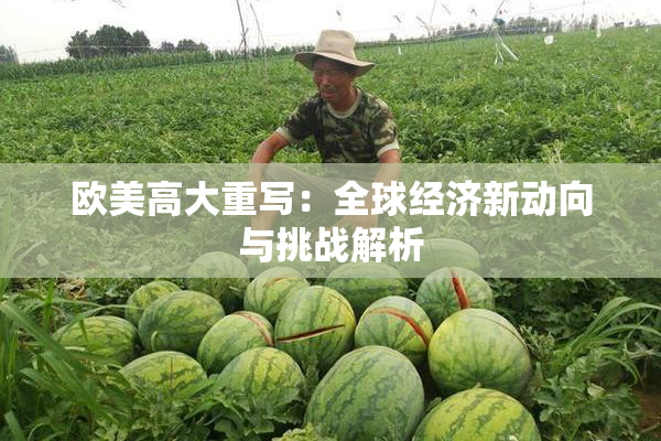 欧美高大重写：全球经济新动向与挑战解析