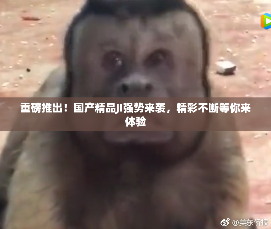 重磅推出！国产精品JI强势来袭，精彩不断等你来体验