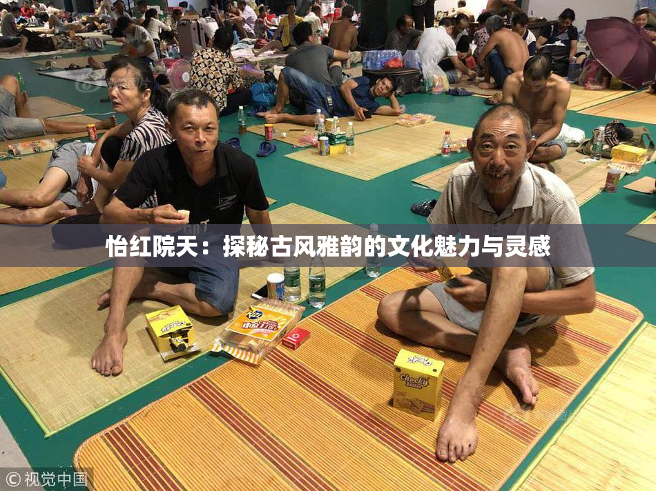 怡红院天：探秘古风雅韵的文化魅力与灵感