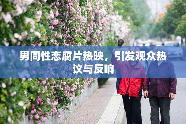 男同性恋腐片热映，引发观众热议与反响