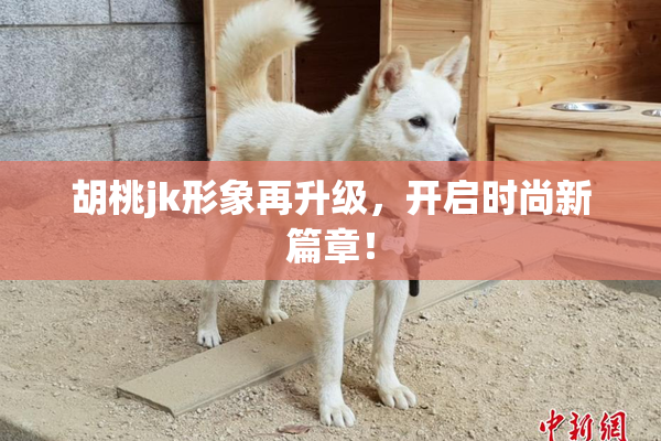 胡桃jk形象再升级，开启时尚新篇章！
