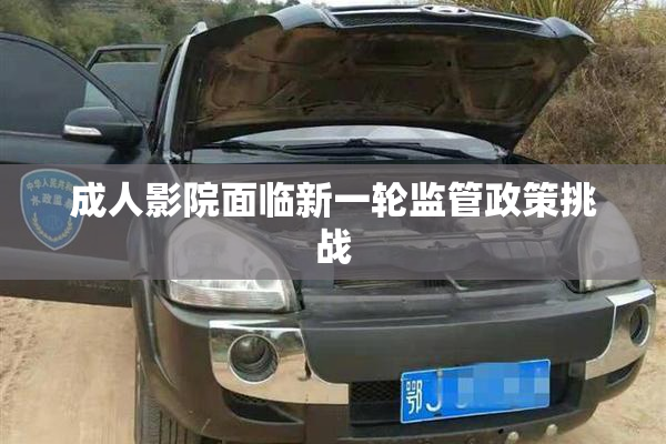 成人影院面临新一轮监管政策挑战