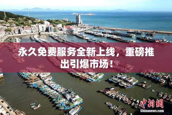 永久免费服务全新上线，重磅推出引爆市场！