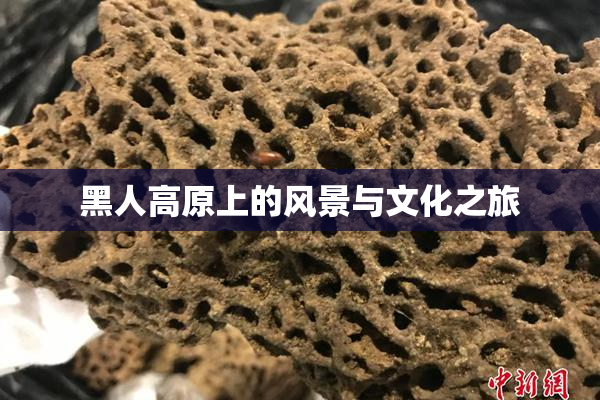 黑人高原上的风景与文化之旅