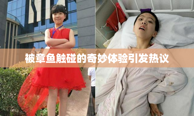 被章鱼触碰的奇妙体验引发热议