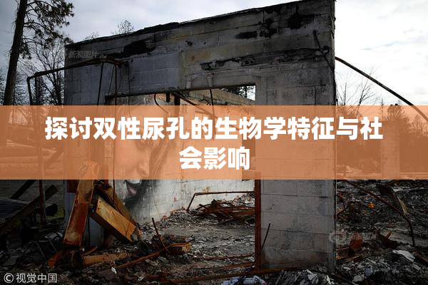 探讨双性尿孔的生物学特征与社会影响