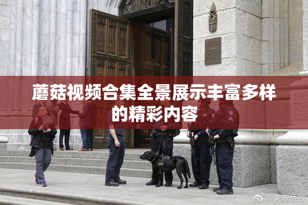 蘑菇视频合集全景展示丰富多样的精彩内容