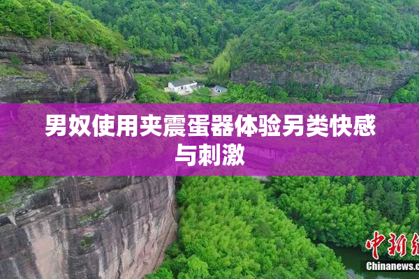 男奴使用夹震蛋器体验另类快感与刺激