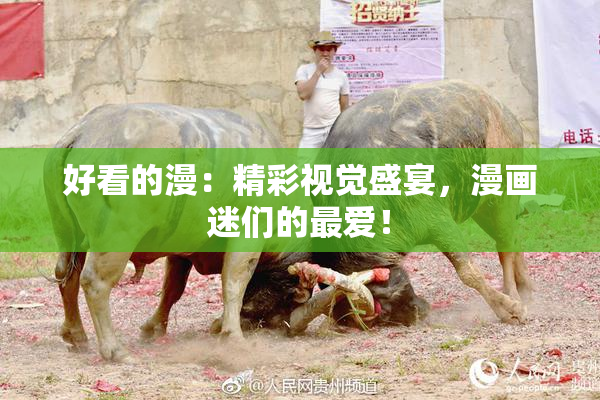 好看的漫：精彩视觉盛宴，漫画迷们的最爱！