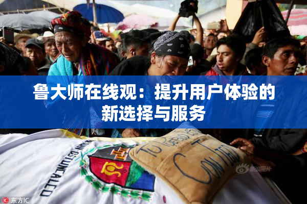 鲁大师在线观：提升用户体验的新选择与服务