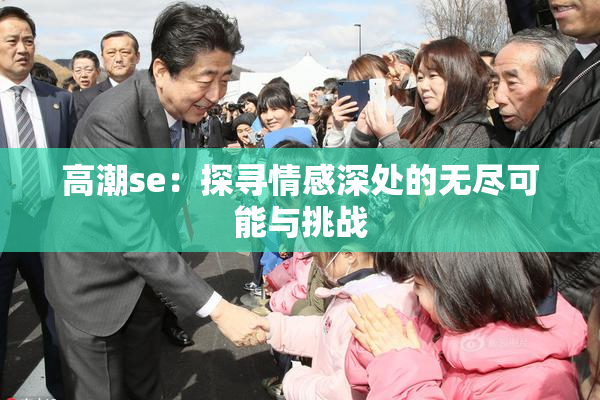 高潮se：探寻情感深处的无尽可能与挑战