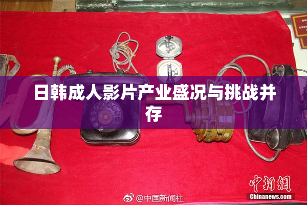 日韩成人影片产业盛况与挑战并存