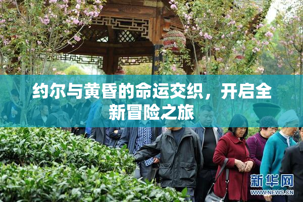 约尔与黄昏的命运交织，开启全新冒险之旅