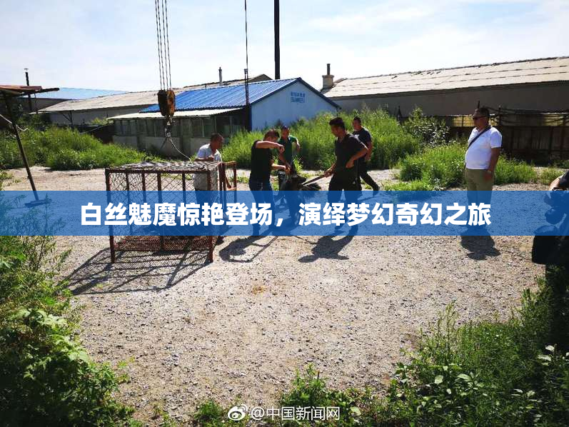 白丝魅魔惊艳登场，演绎梦幻奇幻之旅