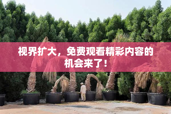 视界扩大，免费观看精彩内容的机会来了！