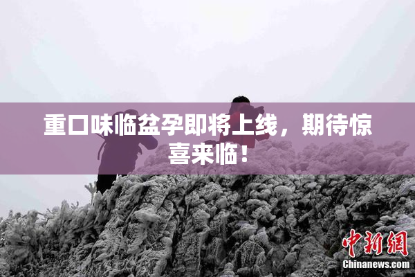 重口味临盆孕即将上线，期待惊喜来临！