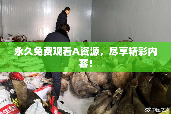 永久免费观看A资源，尽享精彩内容！