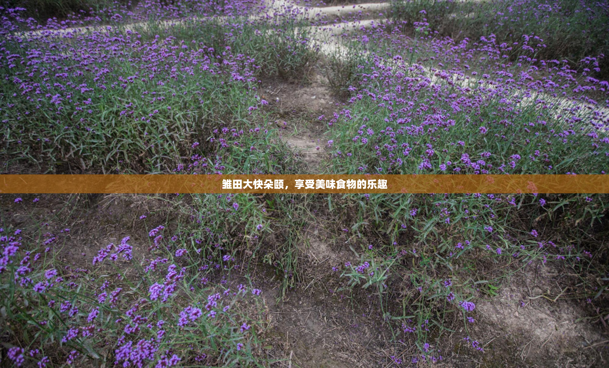 雏田大快朵颐，享受美味食物的乐趣