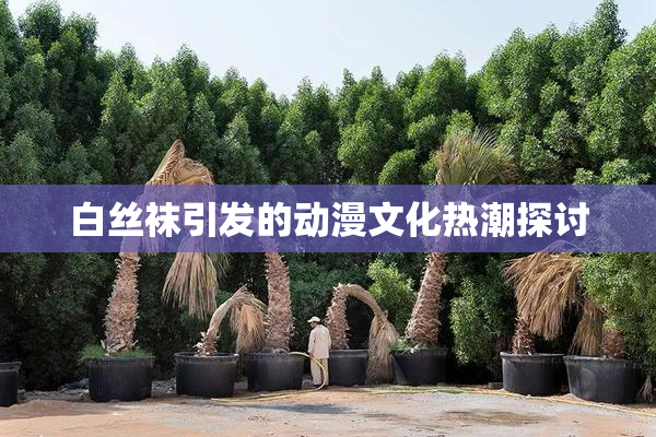 白丝袜引发的动漫文化热潮探讨
