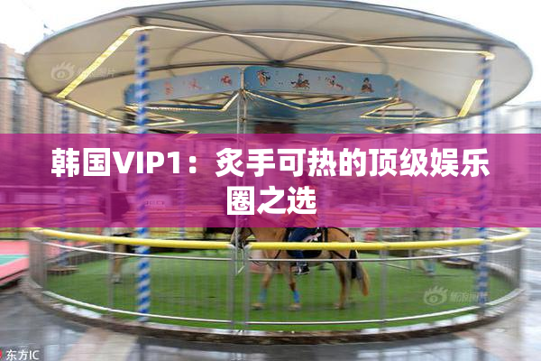 韩国VIP1：炙手可热的顶级娱乐圈之选