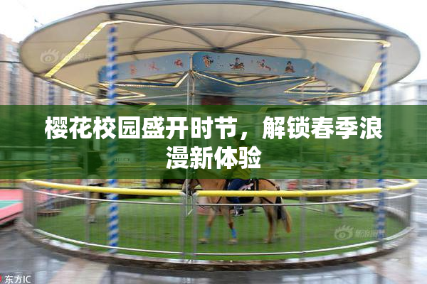 樱花校园盛开时节，解锁春季浪漫新体验
