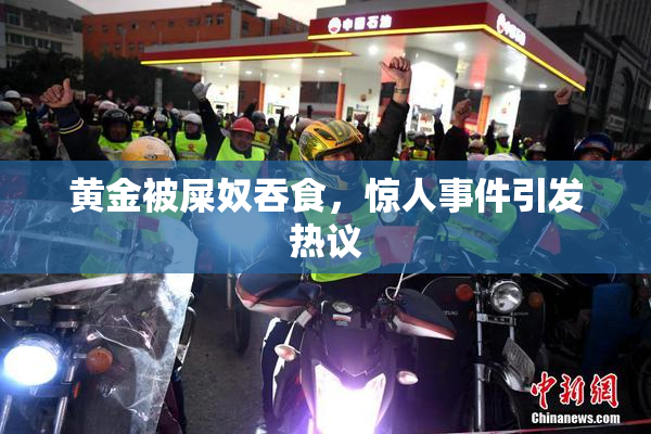 黄金被屎奴吞食，惊人事件引发热议