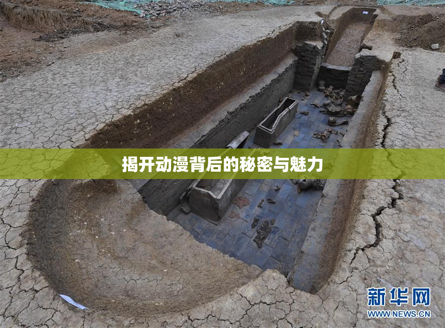 揭开动漫背后的秘密与魅力