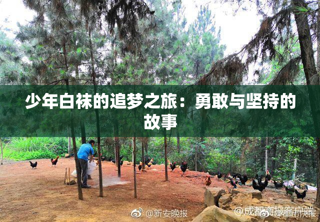 少年白袜的追梦之旅：勇敢与坚持的故事