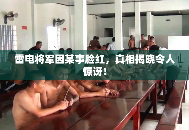 雷电将军因某事脸红，真相揭晓令人惊讶！