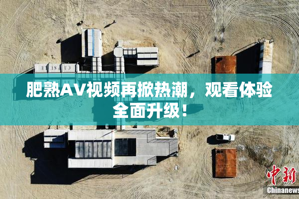 肥熟AV视频再掀热潮，观看体验全面升级！