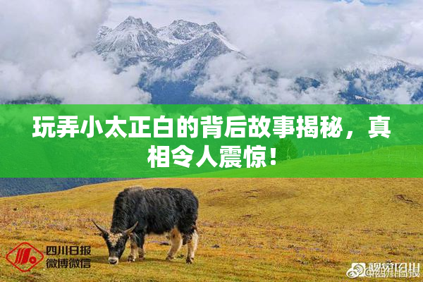 玩弄小太正白的背后故事揭秘，真相令人震惊！