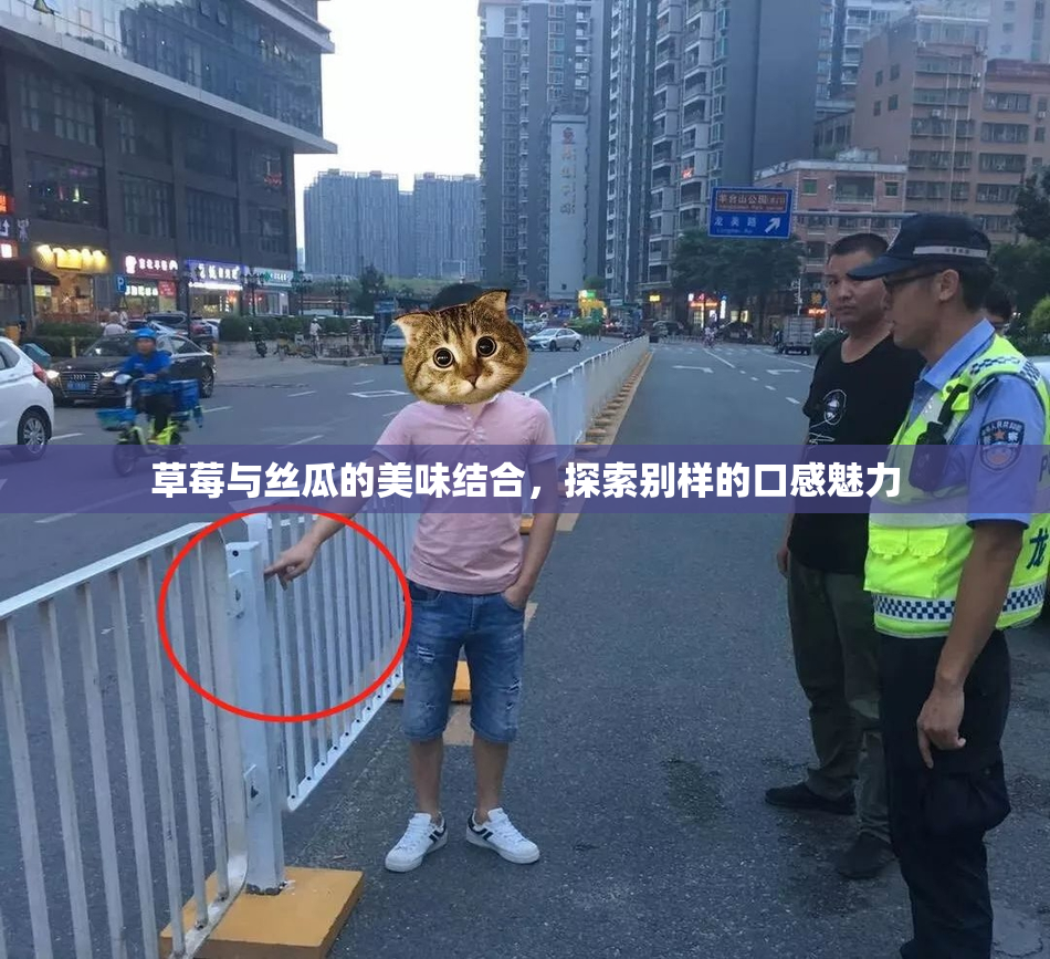 草莓与丝瓜的美味结合，探索别样的口感魅力