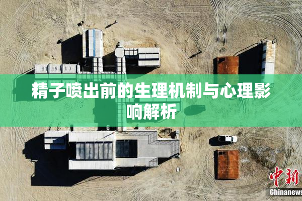 精子喷出前的生理机制与心理影响解析