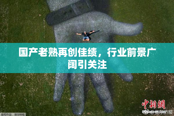 国产老熟再创佳绩，行业前景广阔引关注