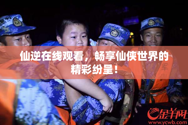 仙逆在线观看，畅享仙侠世界的精彩纷呈！