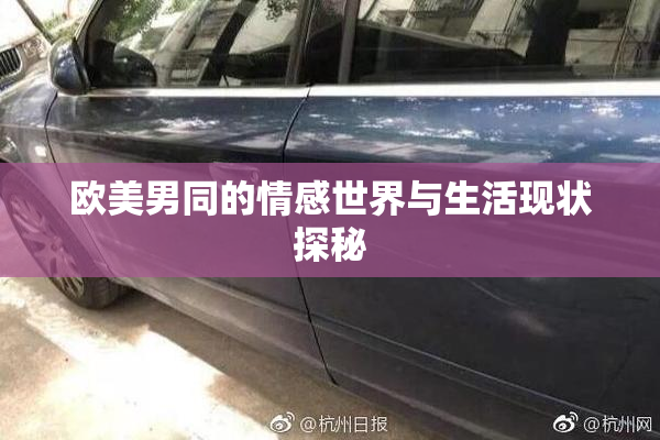 欧美男同的情感世界与生活现状探秘